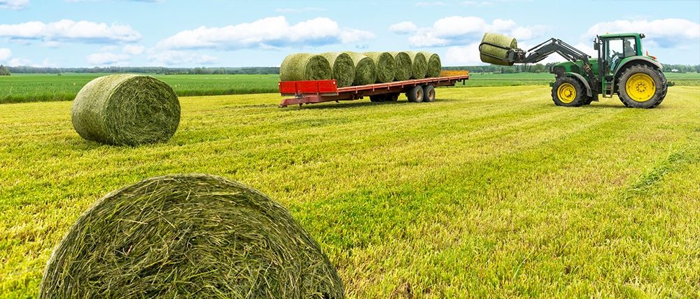 Agricultural Excellence - Feed and Grain Operations