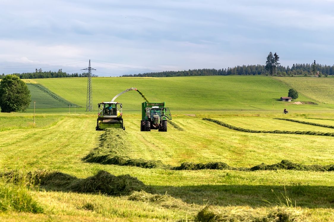 Premium Feed Grass & Alfalfa - WL Food Marketing