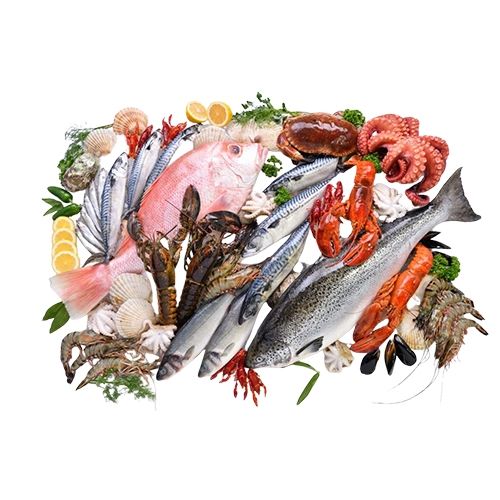 Premium Seafood - WL Food Marketing