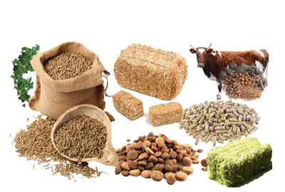 Animal Feed Pellets