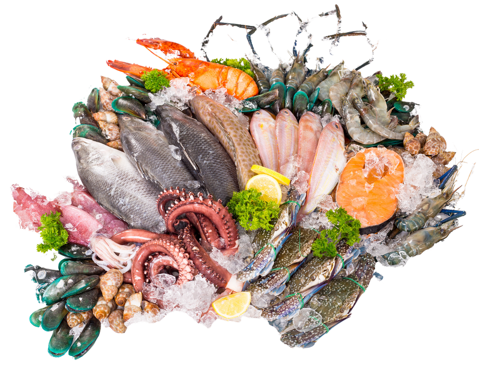 Premium Seafood Distribution